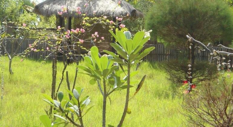 Kalinka Inn - Photo5