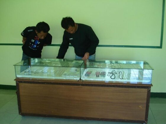 Lembah Rinjani Villa & Resto - Photo3
