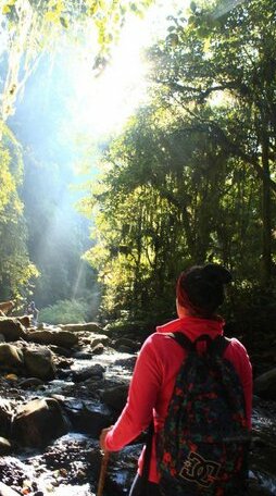 Lombok Camping