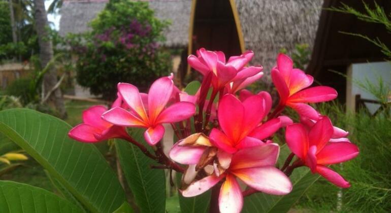 My Gili Cottages - Photo5