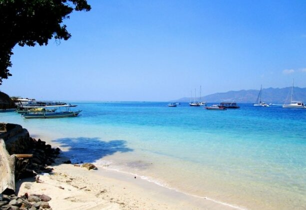 Oceans 5 Dive Resort - Photo2
