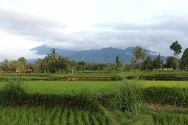 Pondok Tetebatu Cottages and Cafe - Photo2