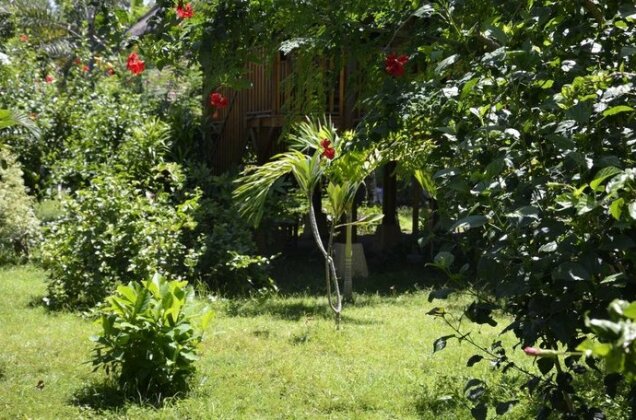 Tangga Bungalows - Photo5