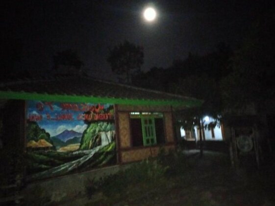 Tereng Wilis Jungle Inn - Photo3