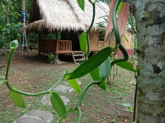 Tetebatu Clove Garden - Photo3