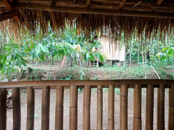 Tetebatu Clove Garden - Photo4