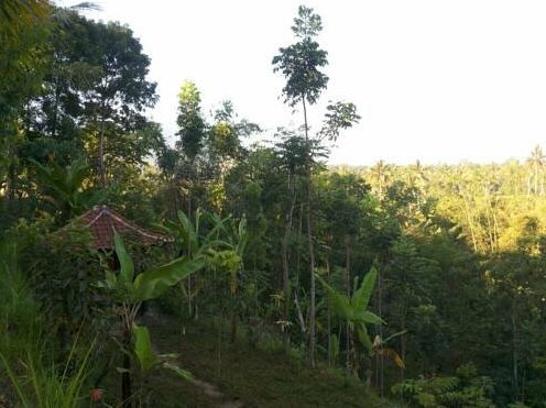 Tetebatu Garden Resort - Photo4