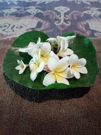 The Banyan House - Photo2