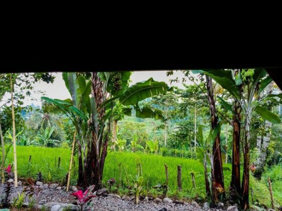 Tommy Bungalow - Photo5