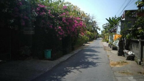 Taman Melati Lovina
