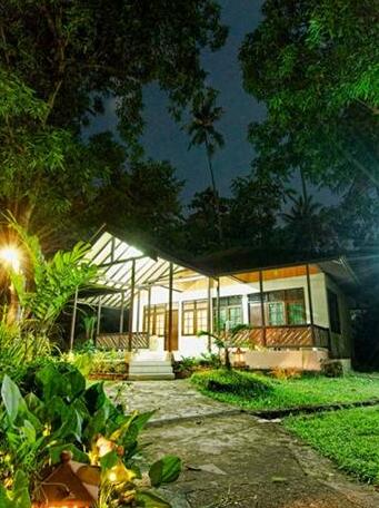 Murex Dive Resort - Photo3