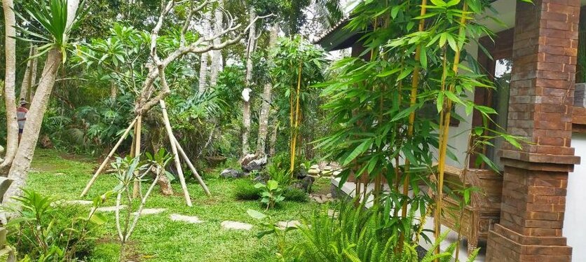 Tangkas house jungle