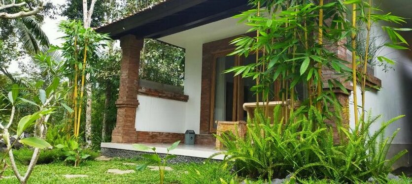 Tangkas house jungle - Photo3