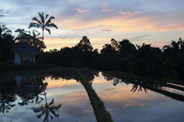 Kubu d'Ume Homestay - Photo2