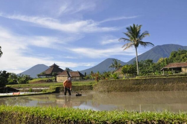 Kubu d'Ume Homestay - Photo3