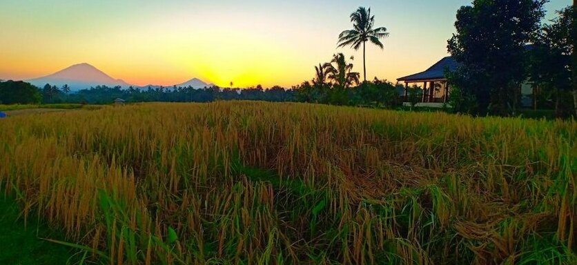 Kubu d'Ume Homestay - Photo4