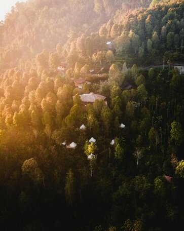 Ekommunity Farmstay & Yoga - Photo3