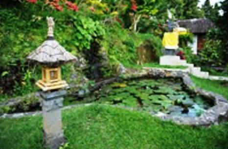 Manah Liang Bungalow - Photo3