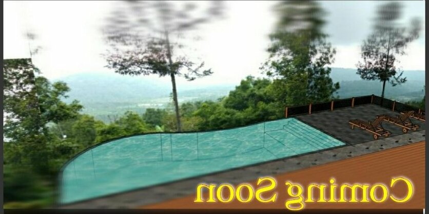 Swar Bali Lodge - Photo3