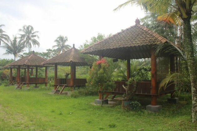 JOGLO Greenhouse - Photo3
