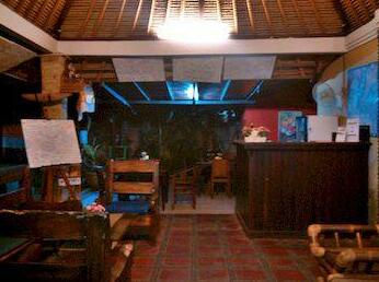 Alam Bali Hotel - Photo3