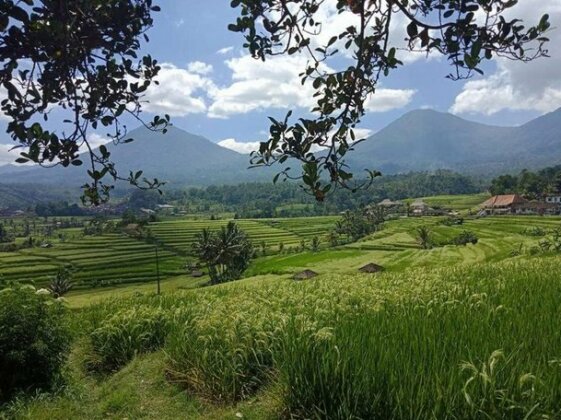 D'puja Home Stay and Spa - Photo2