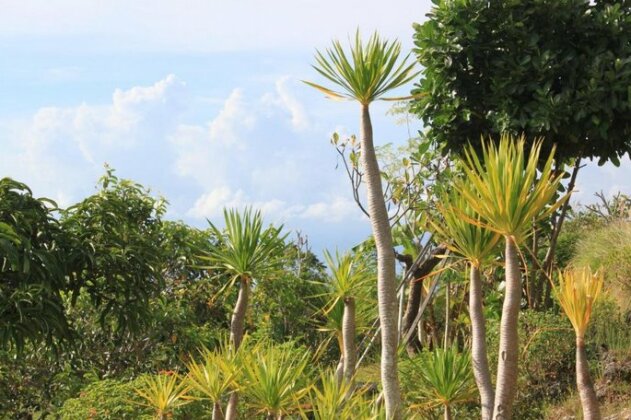 Villa Gubuk Paon - Photo4