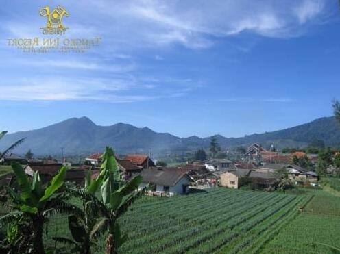 Tangko Inn Resort - Photo5