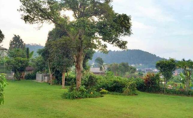 Villa Mataram Cipanas Puncak - Photo3