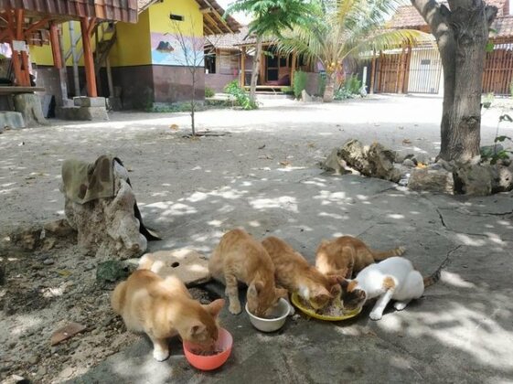 Harry's Ocean House Watukarung - Photo4