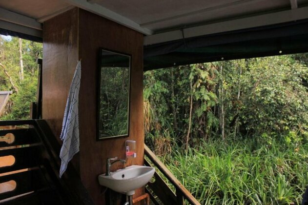 Orangutan River Cruise - Photo5