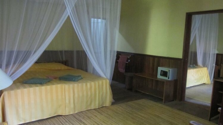 Rimba Orangutan Eco Lodge Kalimantan - Photo4