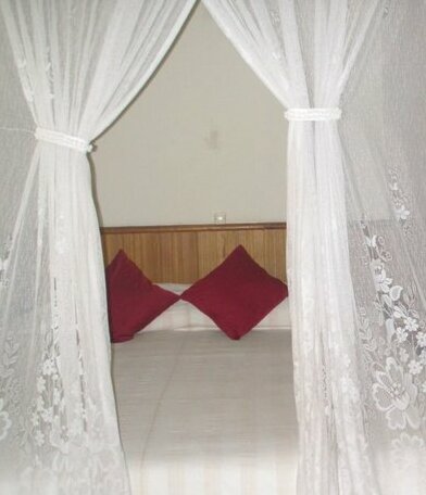 Rimba Orangutan Eco Lodge Kalimantan - Photo5