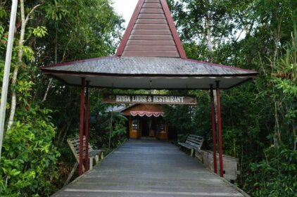 Rimba Orangutan Eco Lodge Kalimantan