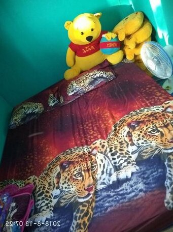 Kadeudeuh Homestay - Photo2