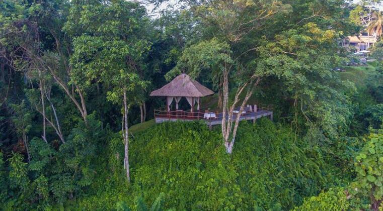 Alila Ubud - Photo3