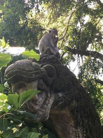 Be Bali Stay - Photo5