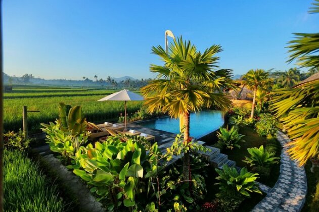 Padi Bali Eco Villas - Photo2
