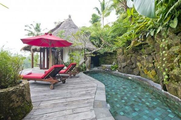 Romantic Honeymoon/Retreat Villa in Ubud - Photo2