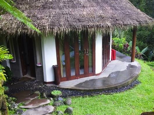 Romantic Honeymoon/Retreat Villa in Ubud - Photo4