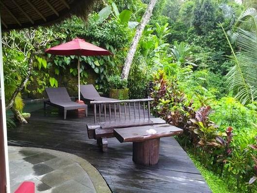 Romantic Honeymoon/Retreat Villa in Ubud - Photo5