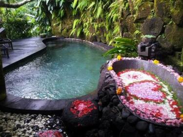 Romantic Honeymoon/Retreat Villa in Ubud