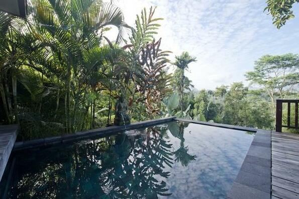 Tranquil Retreat Apartment paradise Bali - Photo2
