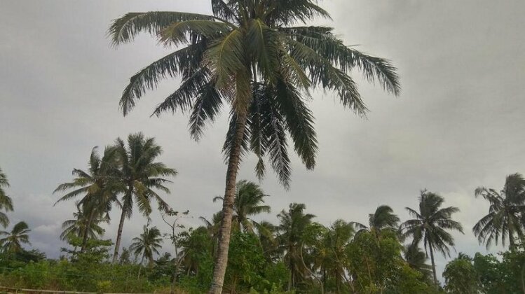 Penginapan Liongtin - Photo3