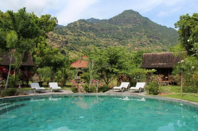 Dune Alaya Eco Hotel - Photo2