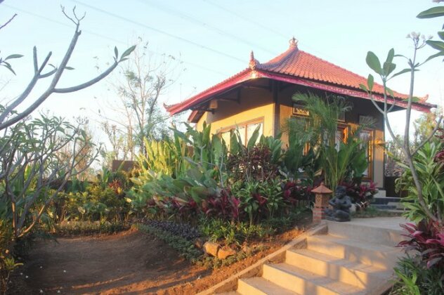 Eliska Sari Bungalows - Photo2