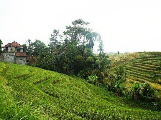 Yeh Panes Hot Spring Resort - Photo4