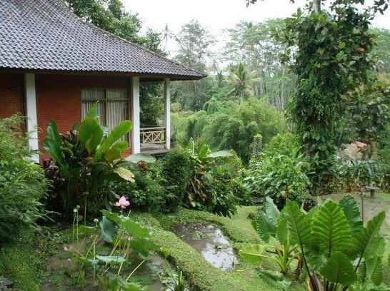 Yeh Panes Hot Spring Resort - Photo5