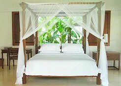 Villa Kemah Tinggi - Photo5