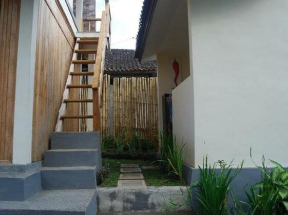 Kirra's Beach House - Photo4